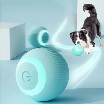 Stimulate & Engage – Smart Motion Dog Ball for Active Pets