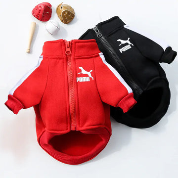 Luxury Comfort & Style: The Designer Winter Dog Sweatshirt