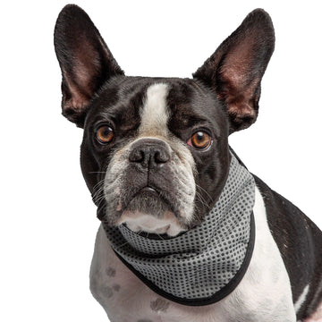 Official US Army® Dog Cooling Bandana