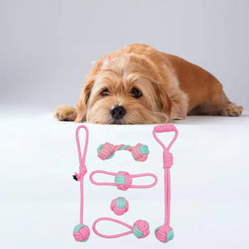 Chew & Clean – The Perfect Toy for Strong Teeth & Healthy Gums