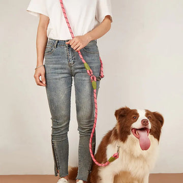 Stay Seen, Stay Safe – Durable Reflective Dog Leash!