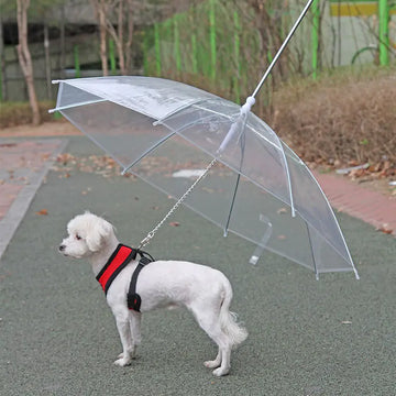 StayDry Pet Umbrella Leash – No More Wet Fur on Rainy Walks!