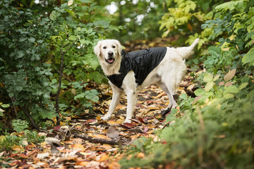 Official US Army® Packable Dog Raincoat