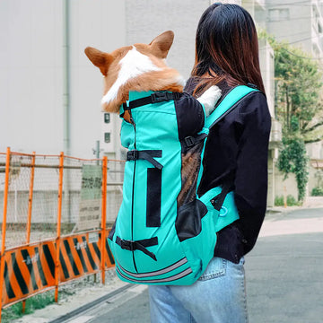 Travel in Style with Your Pup β The Ultimate Dog Carrier for Pet Parents