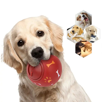 Fun Meets Dental Care – A Chew Ball for Healthy Smiles
