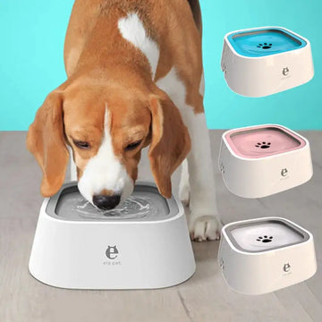 Paw-some Plastic Dog Bowls– Keeps Floors Dry & Clean