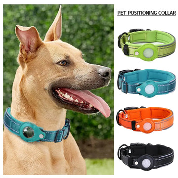 Track & Protect β Anti-Lost Dog Collar for Apple Airtag