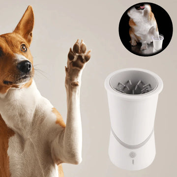 Quick, Gentle & Effective – The Best Dog Paw Cleaning Solution
