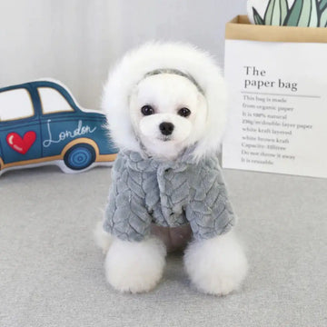 Warmth Meets Style: The Must-Have Winter Wear for Small Dogs