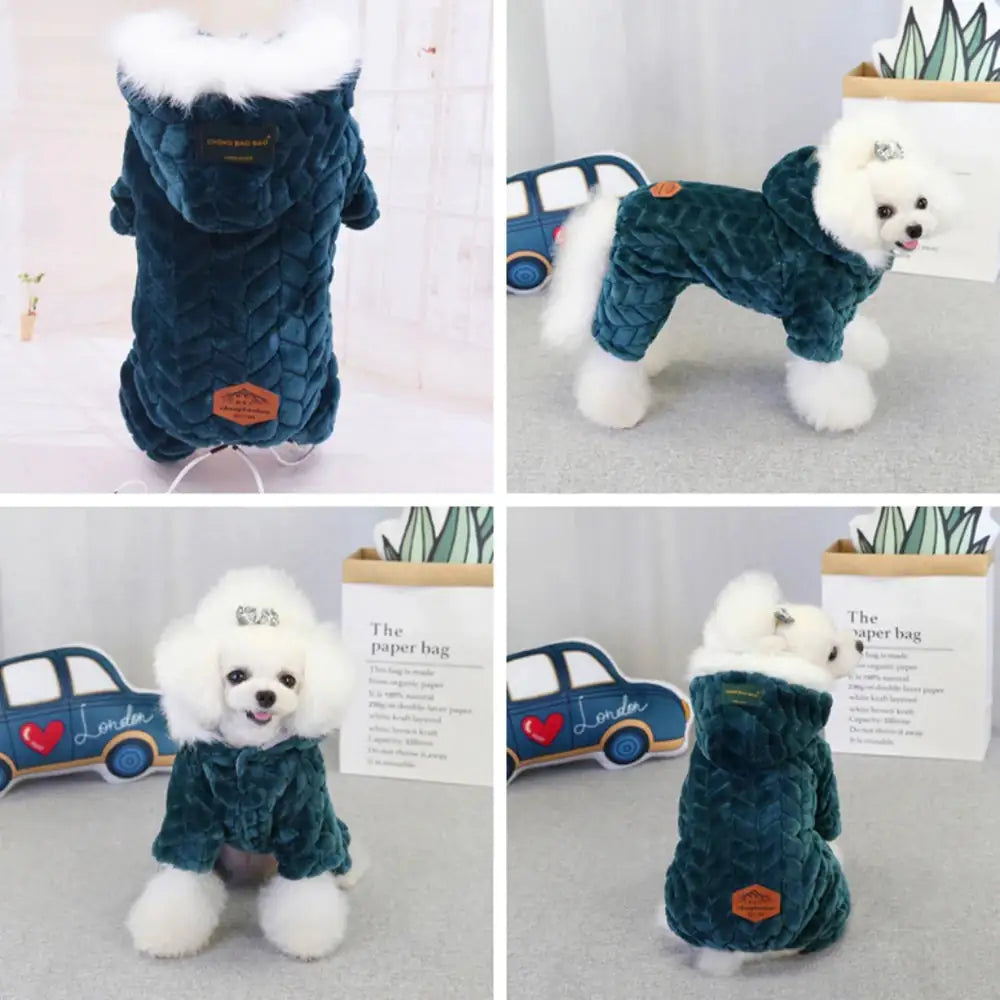 Warmth Meets Style: The Must-Have Winter Wear for Small Dogs