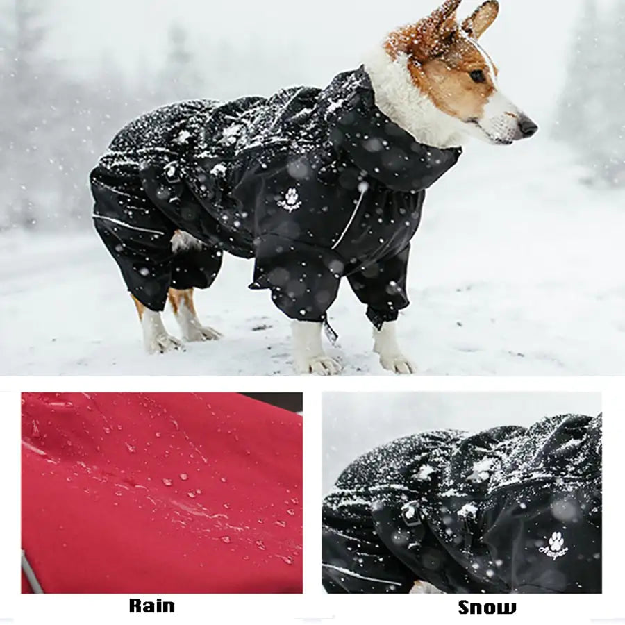 Pet Dog Coat Outdoor Waterproof